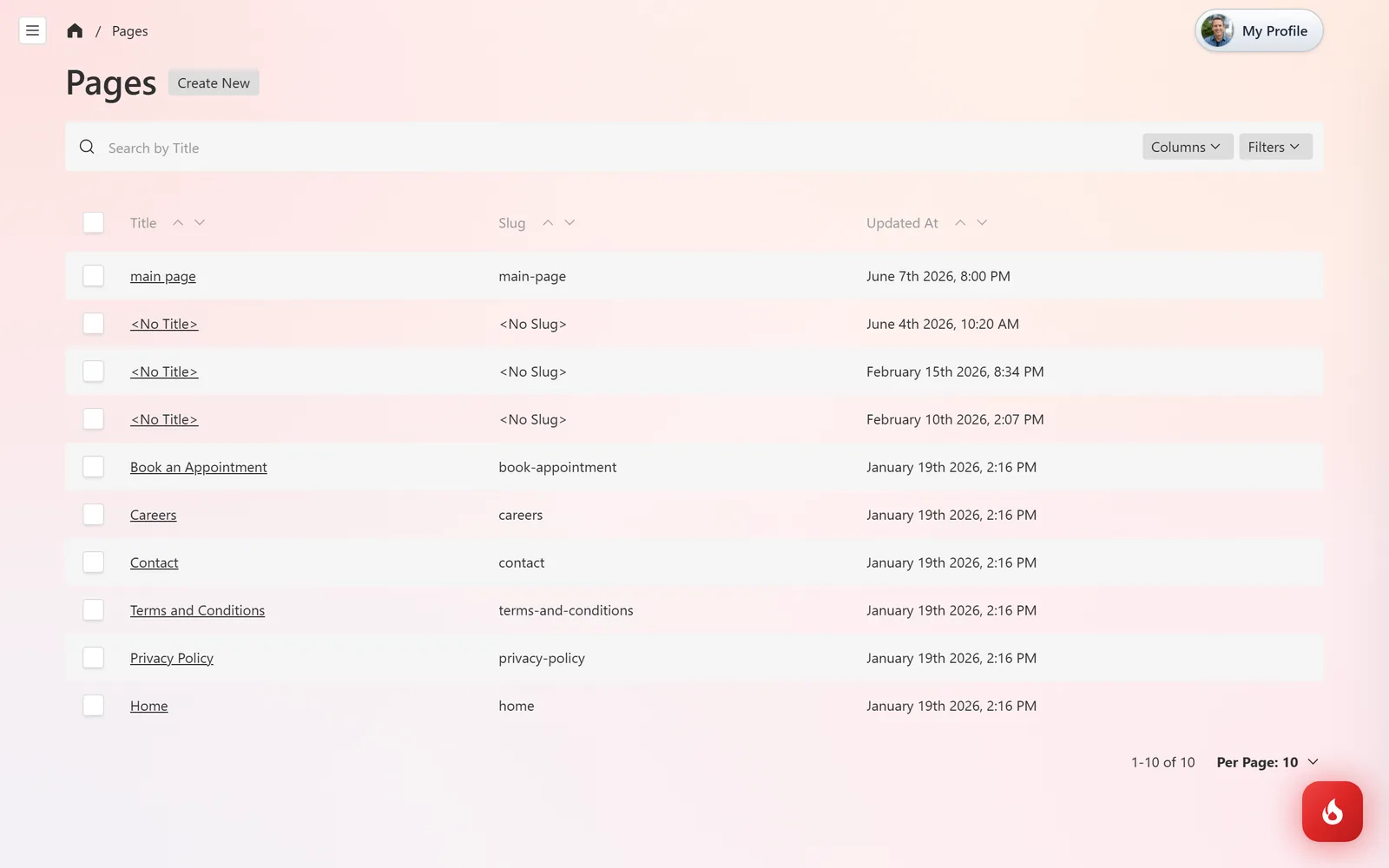 The Pages list under Website Content with Title, Slug, and Updated At columns, including the homepage, Book an Appointment, and Careers